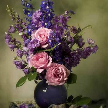 免费ddos在线攻击